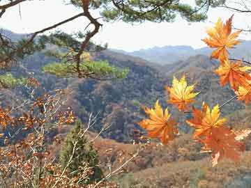 谷歌實(shí)時(shí)翻譯擴(kuò)展程序，科技重塑語言世界，歷史上的 12 月 13 日升級里程碑事件