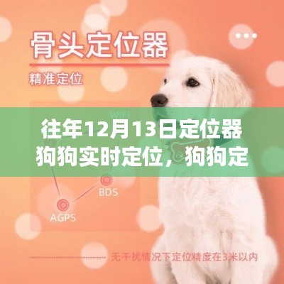 狗狗定位器的奇妙日，如何在變化中學(xué)習(xí)并自信閃耀