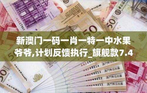 新澳門一碼一肖一特一中水果爺爺,計劃反饋執(zhí)行_旗艦款7.440