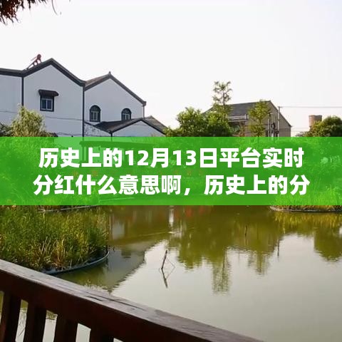 歷史上的分紅策略解析，實時分紅的概念與操作指南