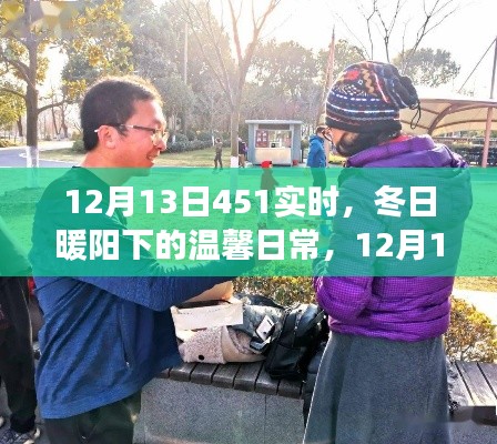 冬日暖陽下的溫馨日常，12月13日451實時趣事分享