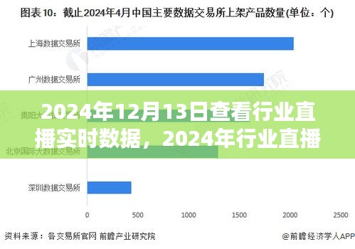 2024年行業(yè)直播實(shí)時(shí)數(shù)據(jù)查看體驗(yàn)評(píng)測(cè)——以12月13日為例