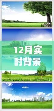 探索自然秘境，12月實(shí)時(shí)背景摳圖素材帶你踏上寧?kù)o之旅