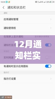 解決12月通知欄實(shí)時(shí)網(wǎng)速顯示無變化問題，實(shí)用指南及初學(xué)者進(jìn)階用戶必看攻略