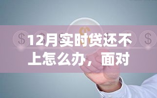 逆境中的逆襲之路，應(yīng)對12月實時貸還不上的困境與成長策略