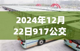 2024年12月22日917公交車實時消息及查詢詳細步驟指南