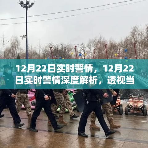 12月22日警情透視，實時治安動態(tài)與深度影響解析