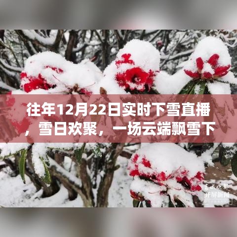 云端飄雪下的歡聚時(shí)光，12月22日實(shí)時(shí)下雪直播日常