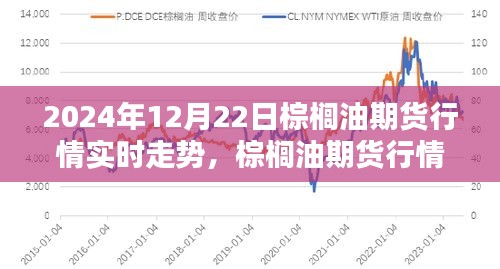 棕櫚油期貨行情分析，實(shí)時走勢解讀與未來展望（2024年12月22日）