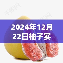 2024年柚子產(chǎn)品深入評測與實(shí)時介紹圖片體驗(yàn)報告