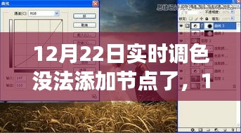 12月22日實(shí)時(shí)調(diào)色功能受限，性能、體驗(yàn)與競品對比深度解析