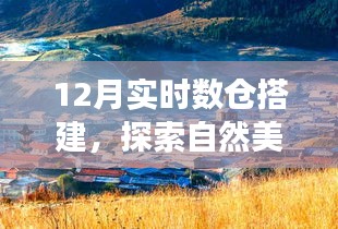 寧靜冬日里的探索之旅，實時數(shù)倉搭建與心靈的自然美景之旅