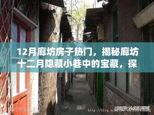 揭秘廊坊十二月隱藏小巷中的寶藏房源與特色小店故事，探尋獨特魅力房源的奇妙之旅