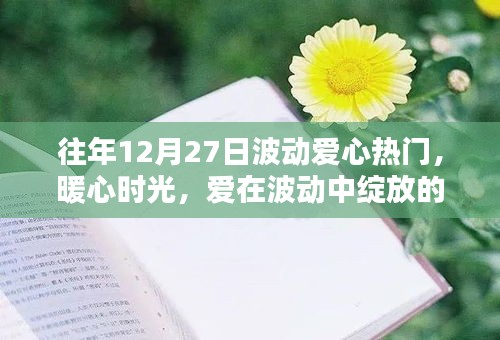 12月27日愛心熱潮涌動，暖心時光記錄溫馨日常中的愛之波動