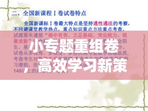 小專題重組卷，高效學(xué)習(xí)新策略助力提升學(xué)習(xí)效能