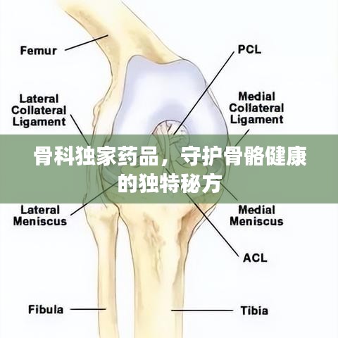 骨科獨(dú)家藥品，守護(hù)骨骼健康的獨(dú)特秘方