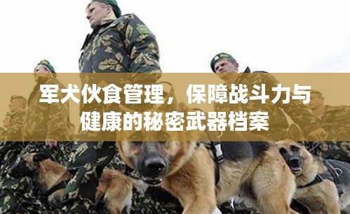 軍犬伙食管理，保障戰(zhàn)斗力與健康的秘密武器檔案