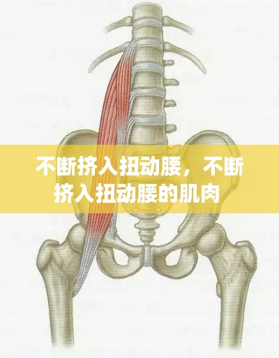 不斷擠入扭動腰，不斷擠入扭動腰的肌肉 