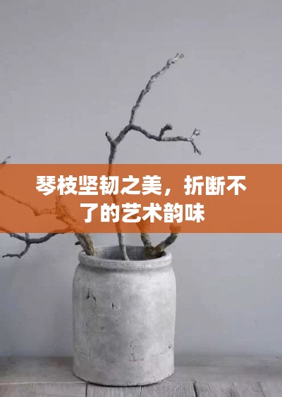 琴枝堅韌之美，折斷不了的藝術(shù)韻味