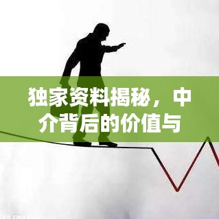 獨家資料揭秘，中介背后的價值與操作策略探討