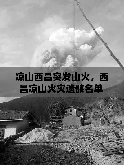 涼山西昌突發(fā)山火，西昌涼山火災(zāi)遺骸名單 