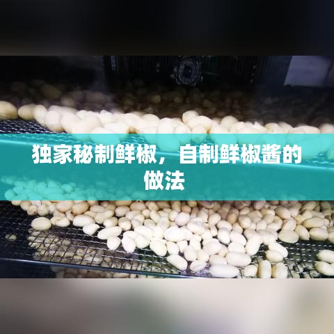 獨家秘制鮮椒，自制鮮椒醬的做法 