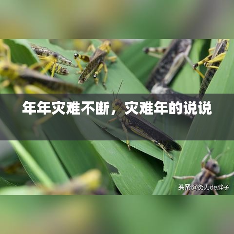 年年災難不斷，災難年的說說 