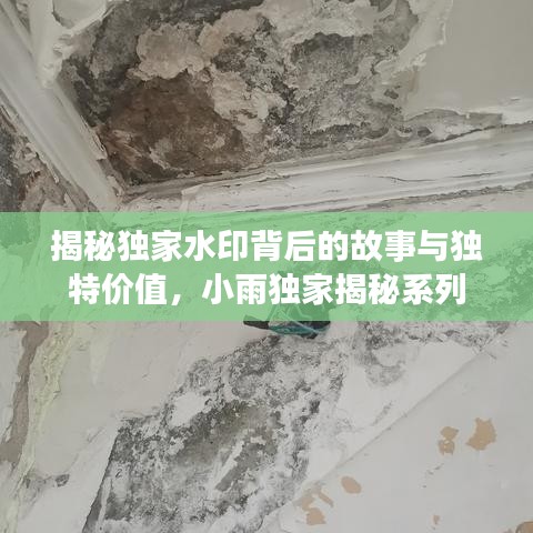 揭秘獨家水印背后的故事與獨特價值，小雨獨家揭秘系列