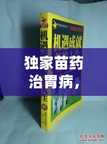 獨(dú)家苗藥治胃病，古老智慧綻放現(xiàn)代光芒