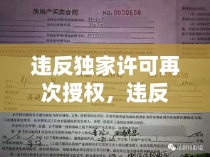 違反獨家許可再次授權(quán)，違反獨家代理權(quán)合同違約責(zé)任 