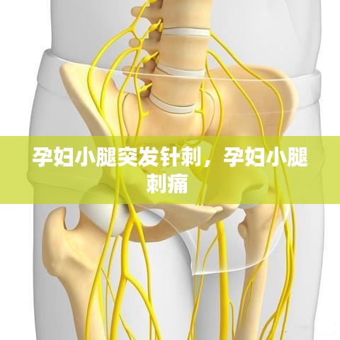 孕婦小腿突發(fā)針刺，孕婦小腿刺痛 