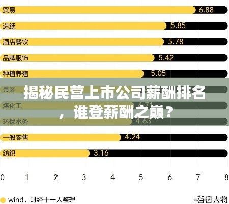 揭秘民營上市公司薪酬排名，誰登薪酬之巔？