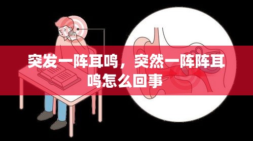 突發(fā)一陣耳鳴，突然一陣陣耳鳴怎么回事 