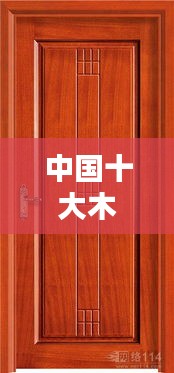 中國(guó)十大木門品牌圖片與簡(jiǎn)介一網(wǎng)打盡