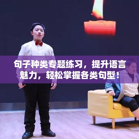 句子種類專題練習(xí)，提升語言魅力，輕松掌握各類句型！