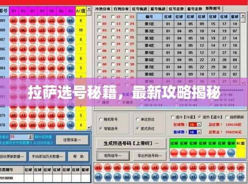 拉薩選號秘籍，最新攻略揭秘