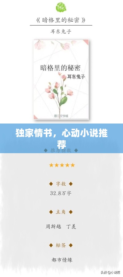 獨家情書，心動小說推薦