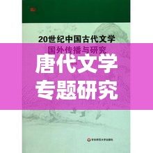 唐代文學(xué)專題研究，深度挖掘古代文學(xué)魅力