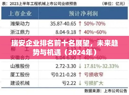 瑞安企業(yè)排名前十名展望，未來趨勢與機遇（2024年）