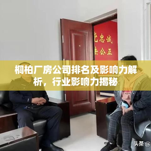 桐柏廠房公司排名及影響力解析，行業(yè)影響力揭秘