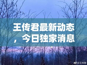 王傳君最新動態(tài)，今日獨家消息揭秘！