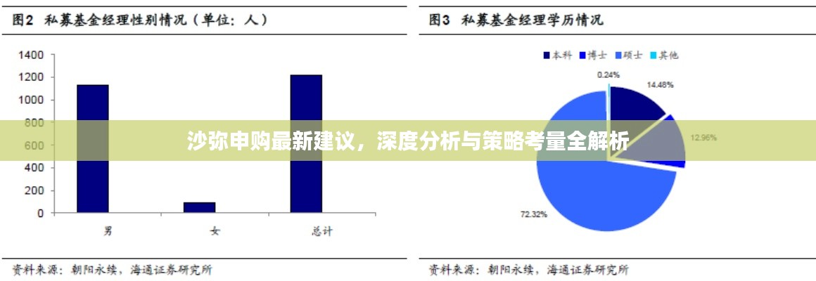 沙彌申購(gòu)最新建議，深度分析與策略考量全解析