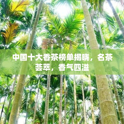 中國十大香茶榜單揭曉，名茶薈萃，香氣四溢