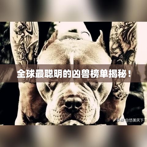 全球最聰明的兇獸榜單揭秘！