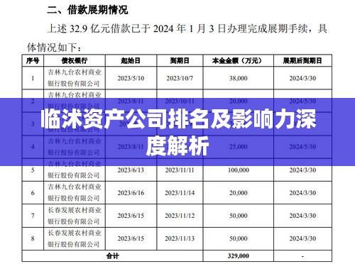 臨沭資產(chǎn)公司排名及影響力深度解析