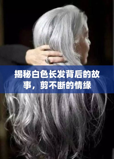 揭秘白色長發(fā)背后的故事，剪不斷的情緣