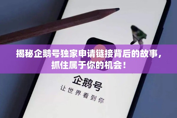 揭秘企鵝號獨家申請鏈接背后的故事，抓住屬于你的機會！