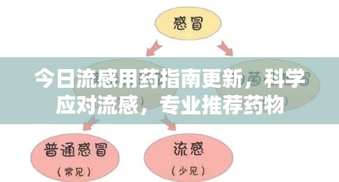 今日流感用藥指南更新，科學(xué)應(yīng)對流感，專業(yè)推薦藥物