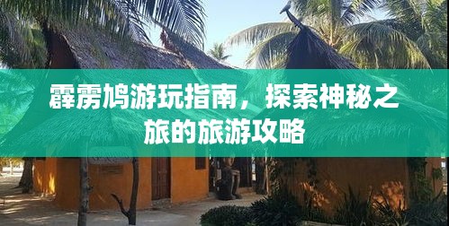 霹靂鳩游玩指南，探索神秘之旅的旅游攻略