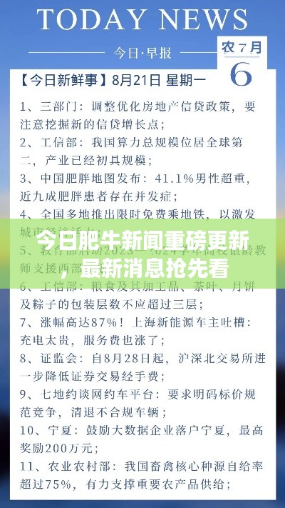 今日肥牛新聞重磅更新，最新消息搶先看